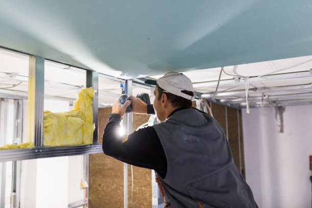 Best Cellulose Insulation in North Valley, NM