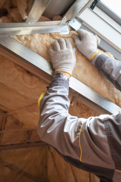 Best Insulation Maintenance and Repair in North Valley, NM